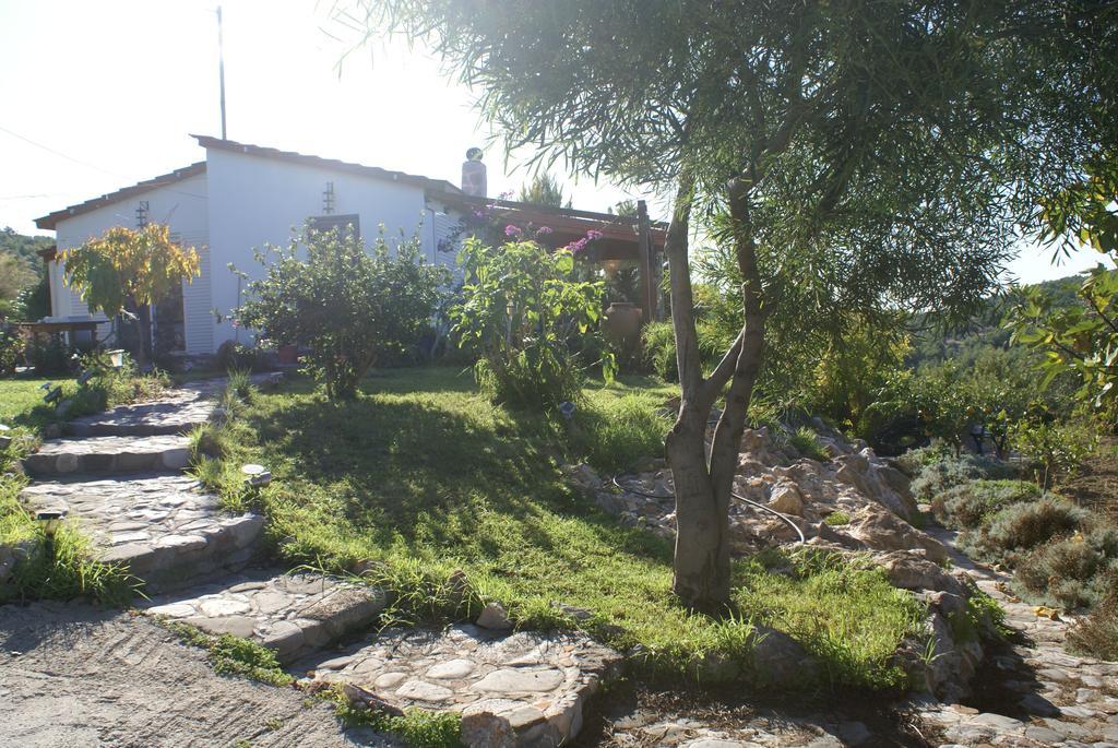 O Ioannis Villa Kritinia Exterior photo